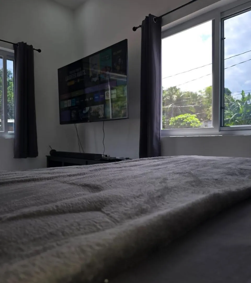 The Loft Apartment Port Antonio