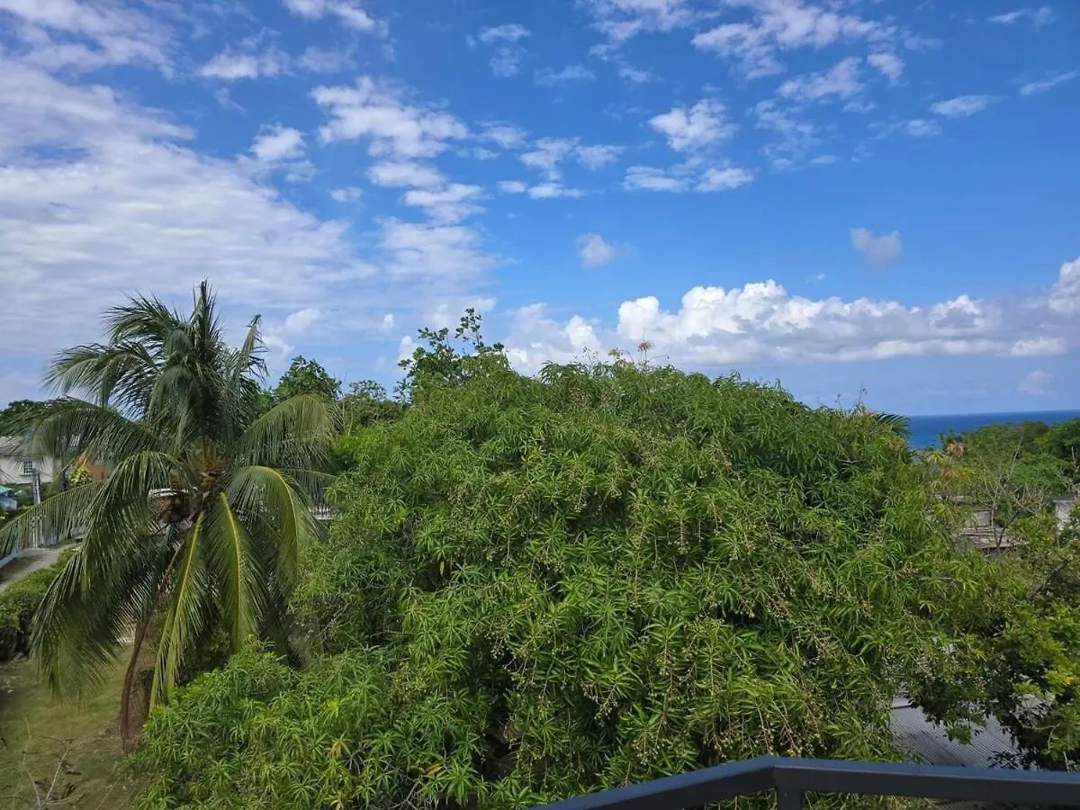The Loft Apartment Port Antonio