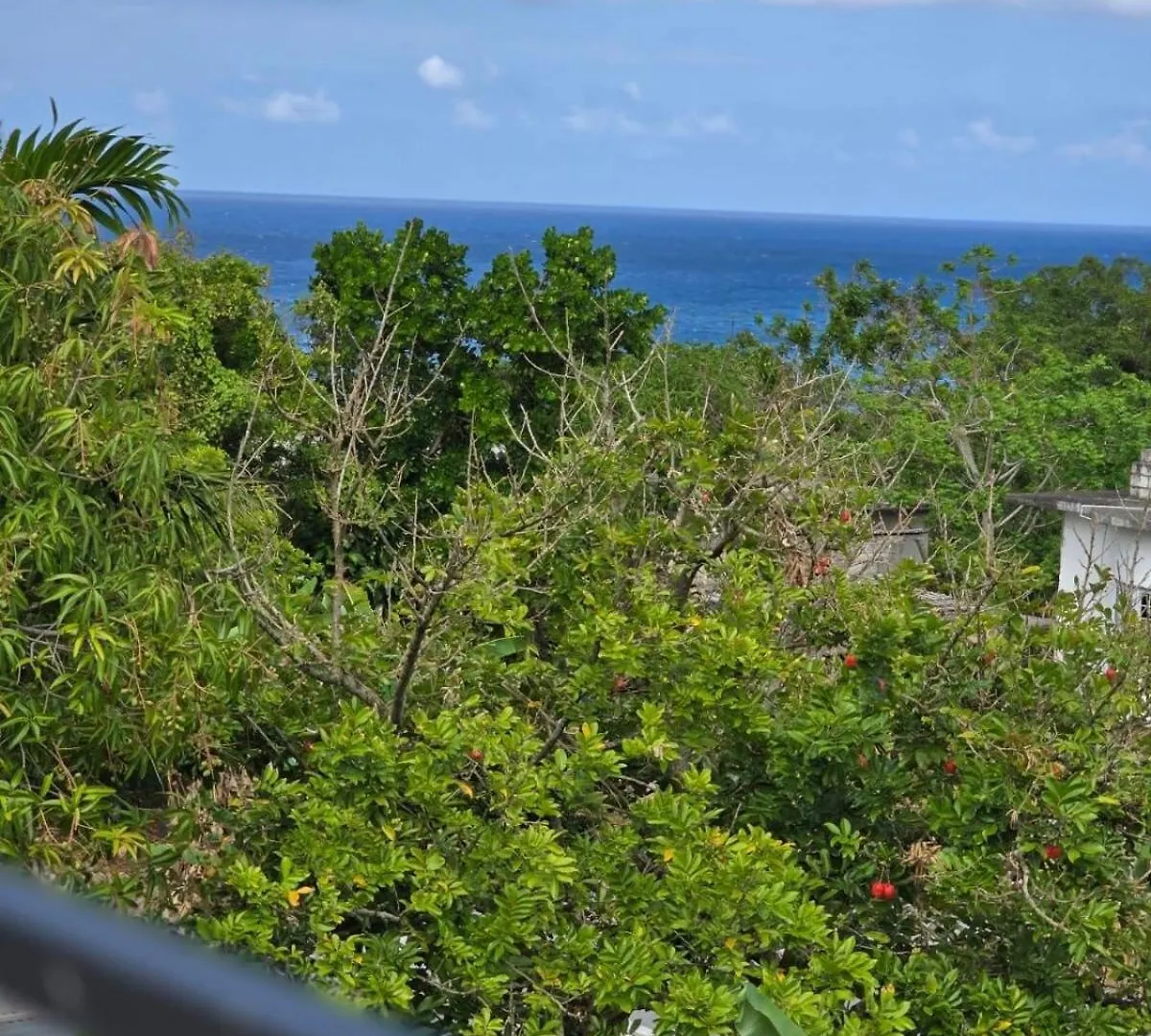 The Loft Apartment Port Antonio