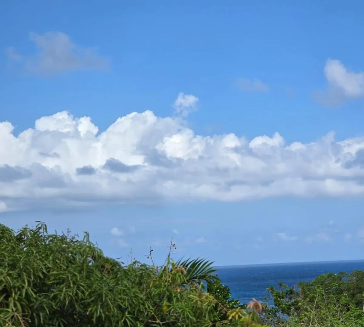The Loft Apartment Port Antonio Jamaica