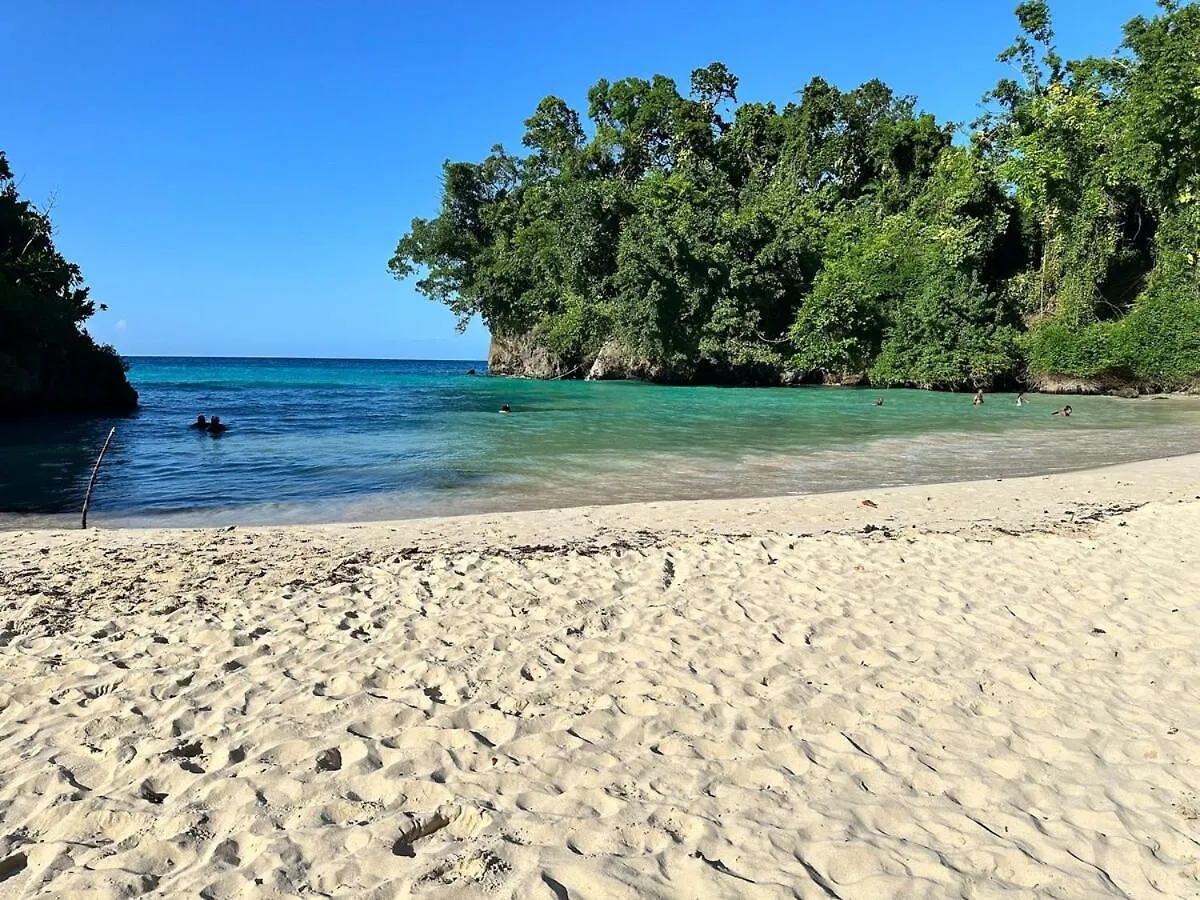 The Loft Apartment Port Antonio