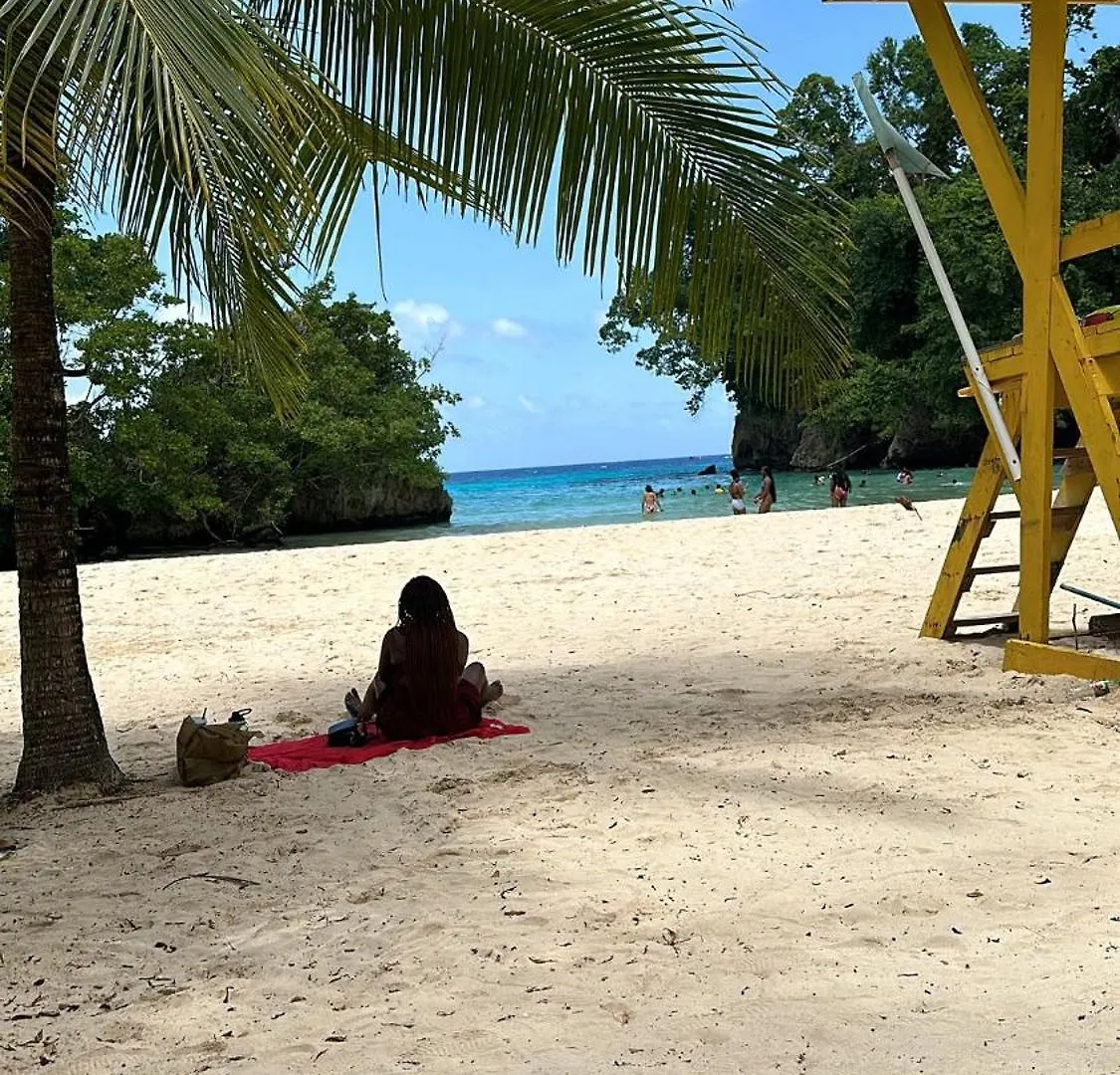 The Loft Apartment Port Antonio